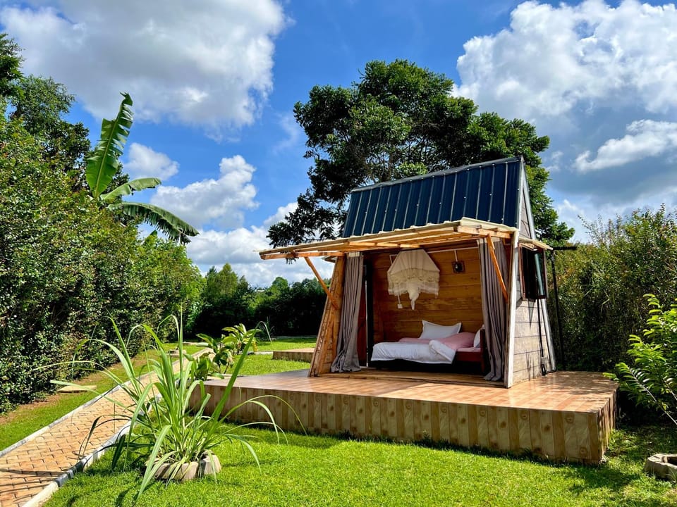 Nature Smart Center Mabamba Bed and Breakfast in Uganda