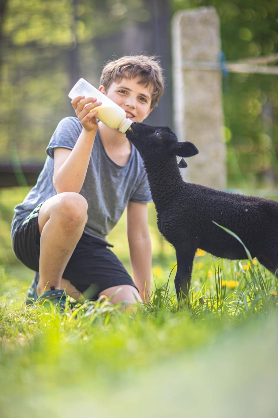 Natural landscape, Animals