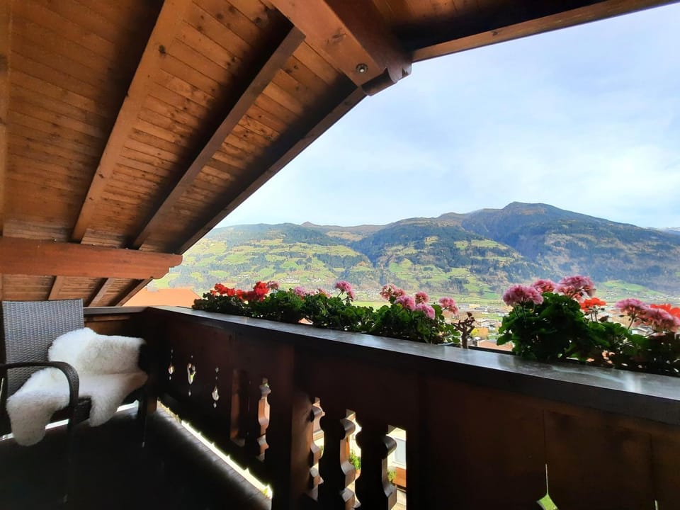 View (from property/room)