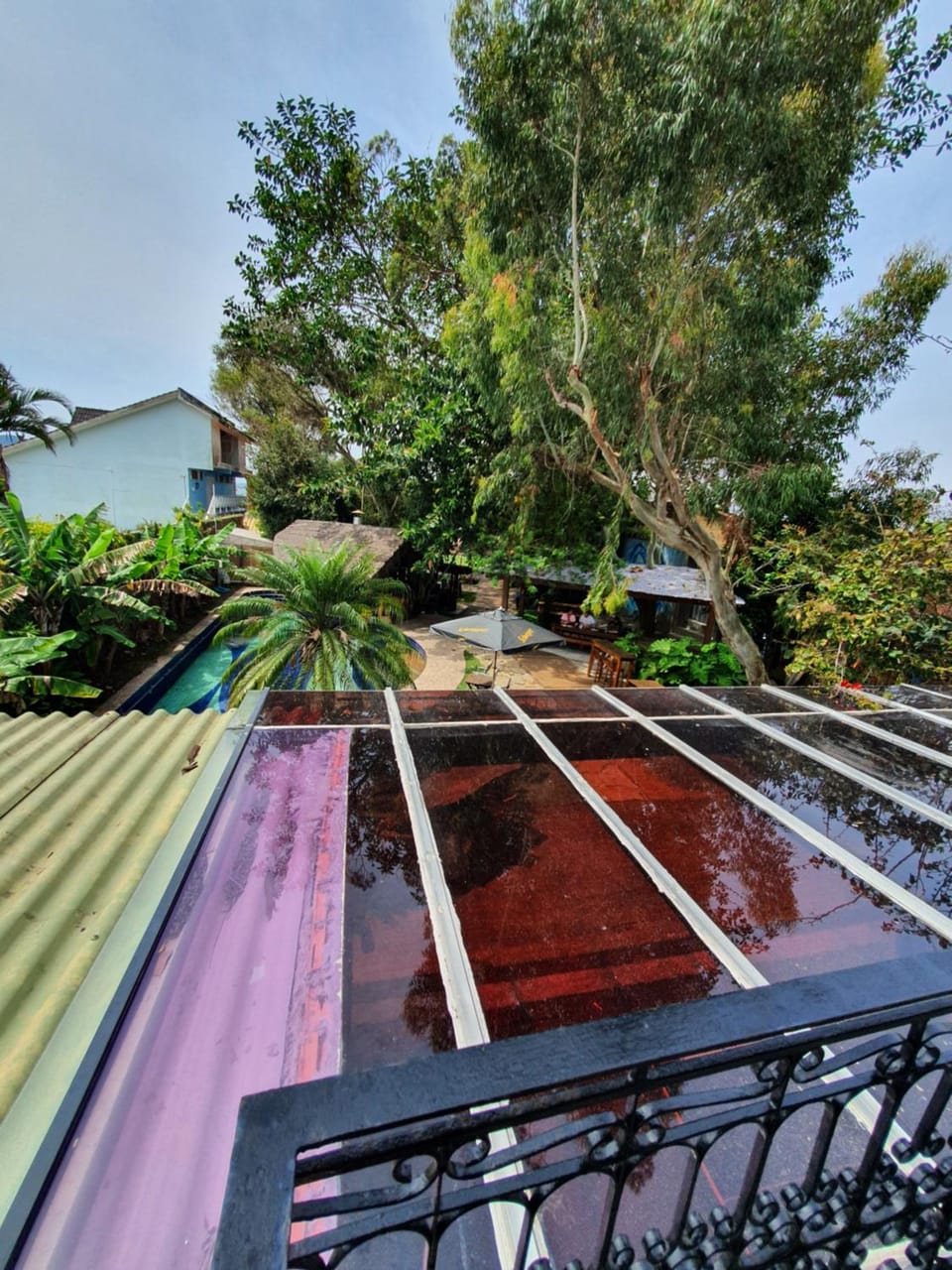 Garden view