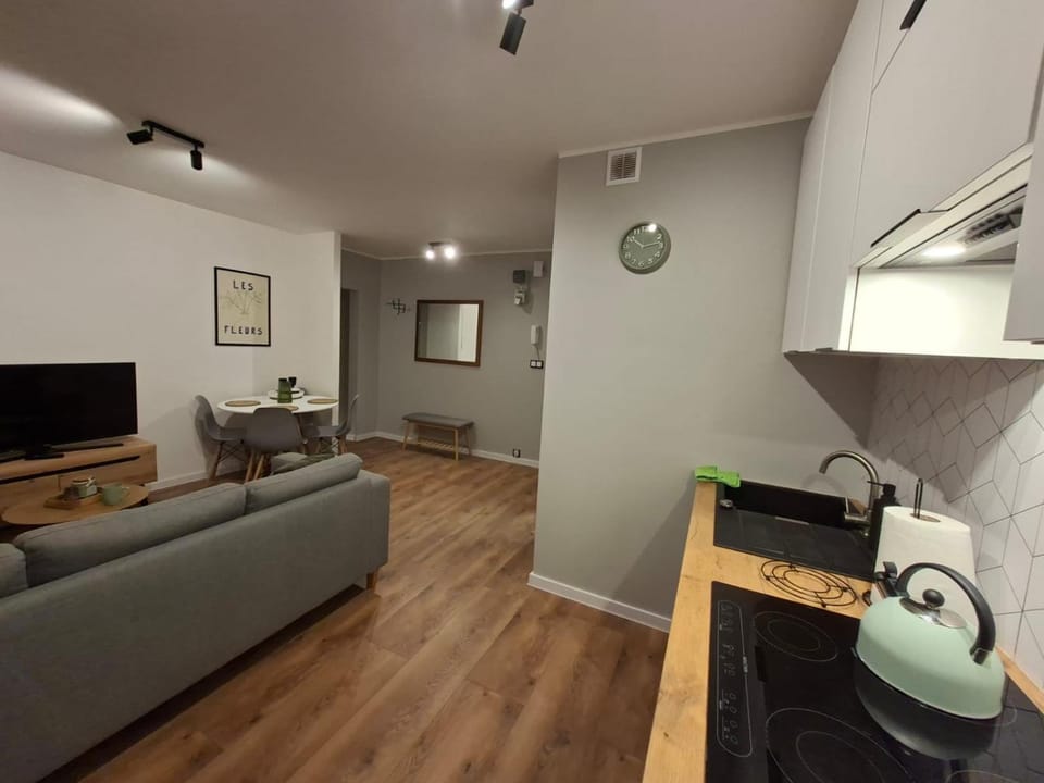 Jagiellonskie Apartment in Poznan