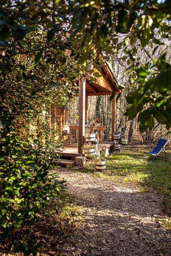 Patio, Garden