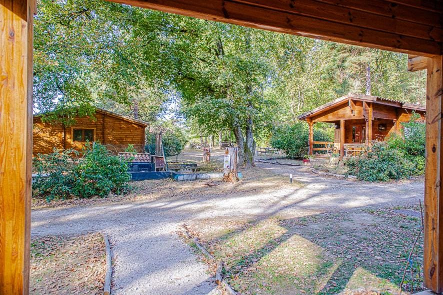 Natural landscape, Garden, Garden view