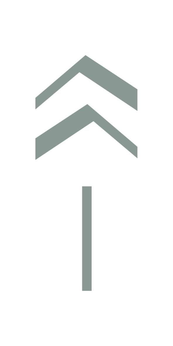 Logo/Certificate/Sign