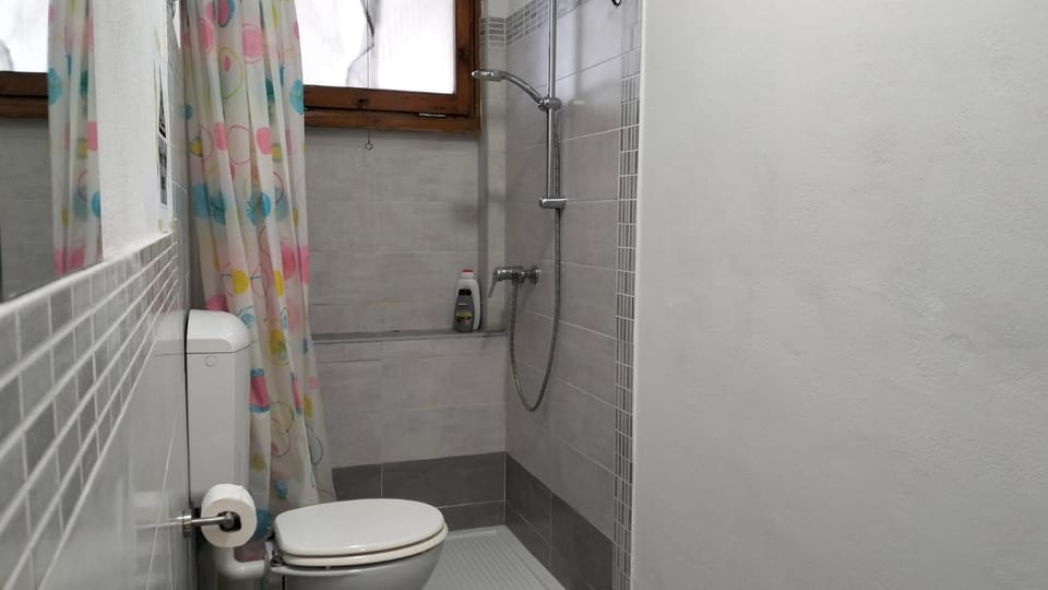 Shower, Toilet, Bathroom, bidet