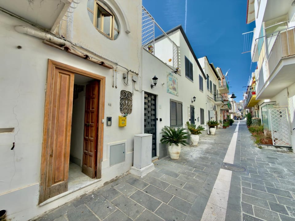 Property building, Day, Neighbourhood, Street view