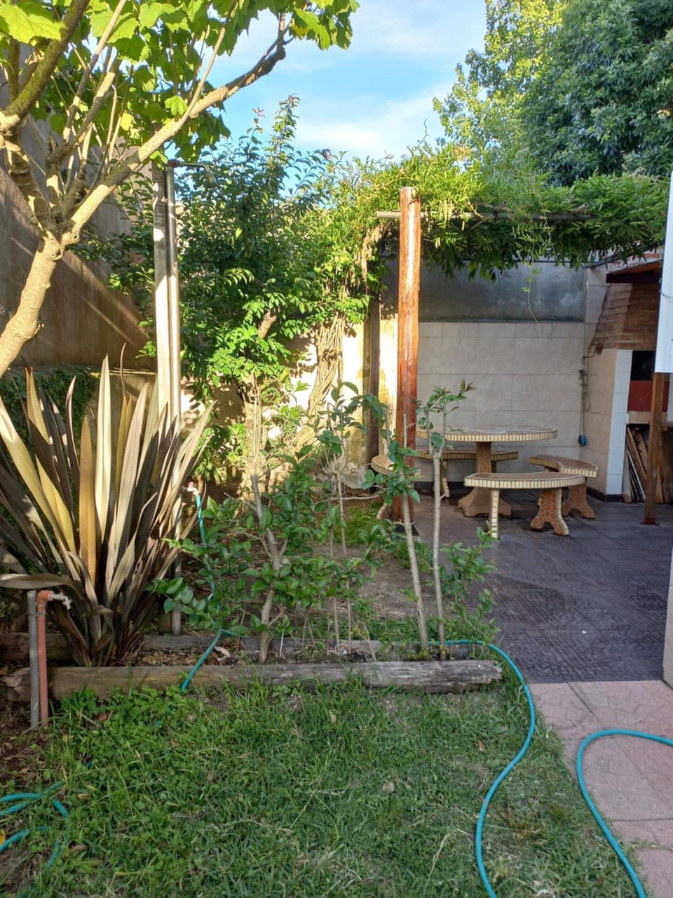 Patio, Garden, Garden