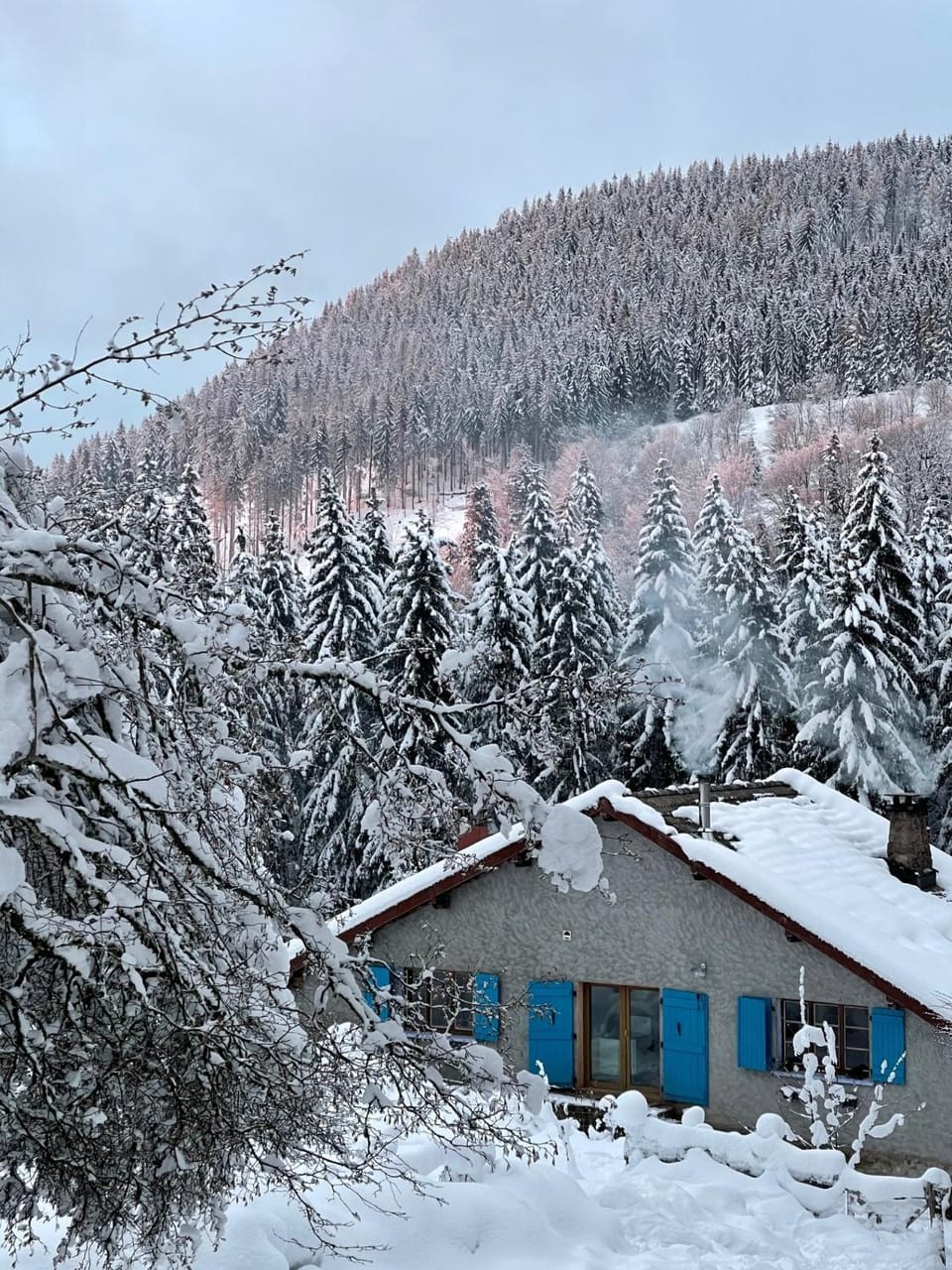 Gite à la ferme aux Alpagas Apartment in Gérardmer
