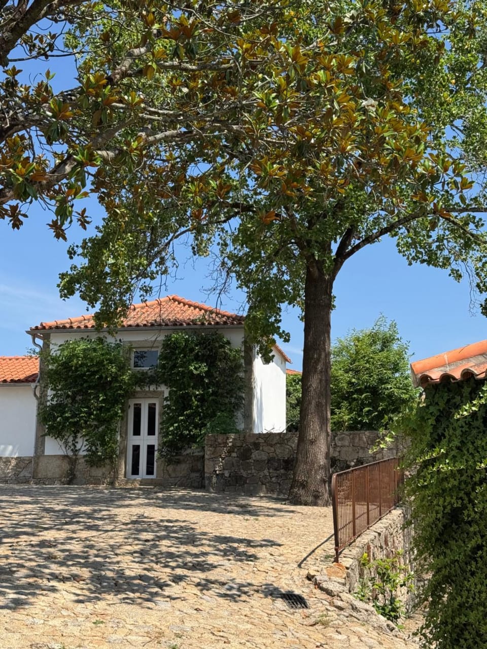 Property building, Garden, Garden view