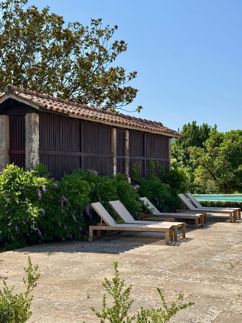 Garden, Garden view, Pool view, Swimming pool, sunbed