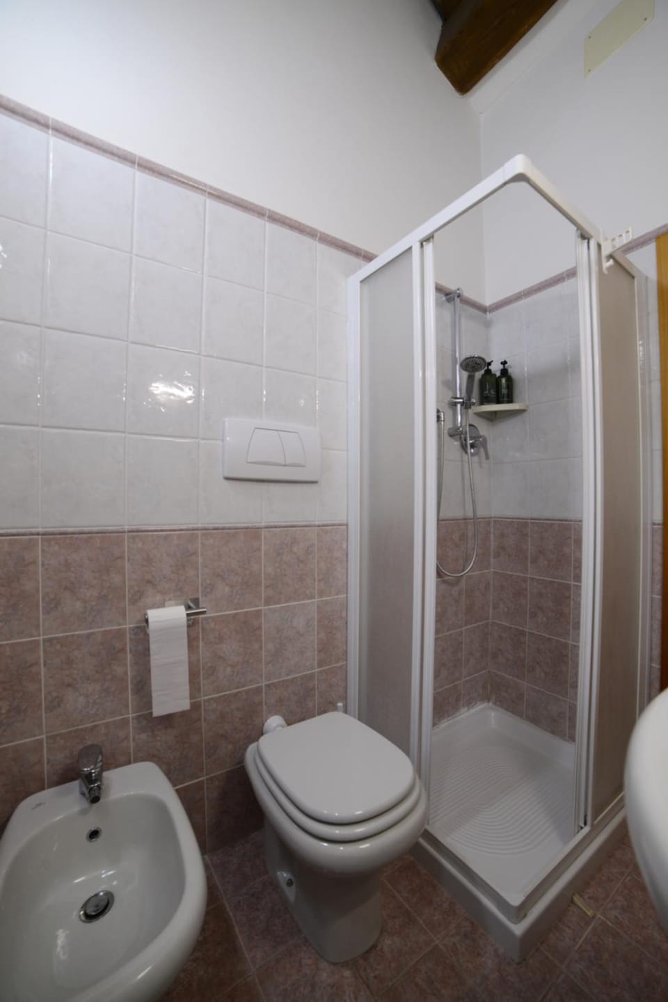 Shower, Toilet, Bathroom, bidet
