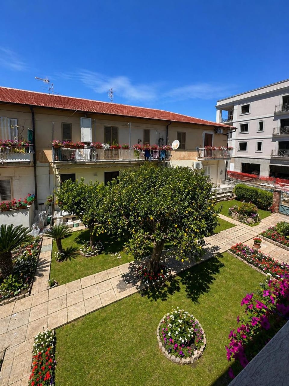 Garden view