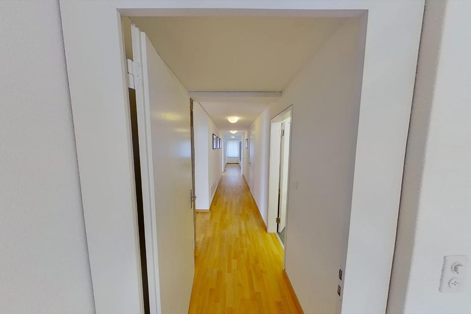 Awesome 2BR flat near lake and city center - SF16 Apartment in Zurich City
