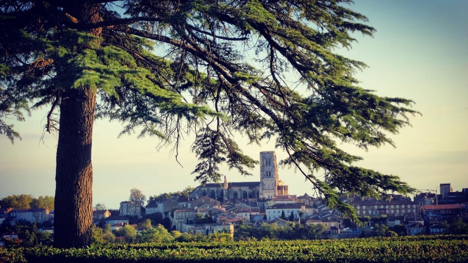 La Maison du Vignoble - piscine, tennis, Wallbox - House in Occitanie