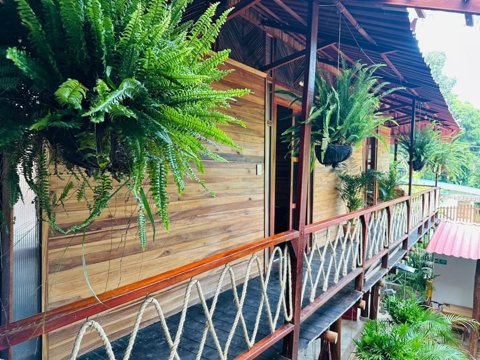 Garden, Balcony/Terrace, Garden view