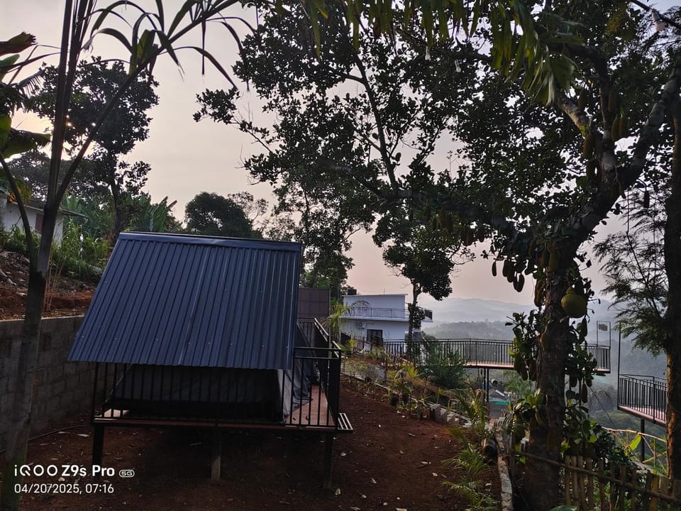 Natural landscape, Garden view