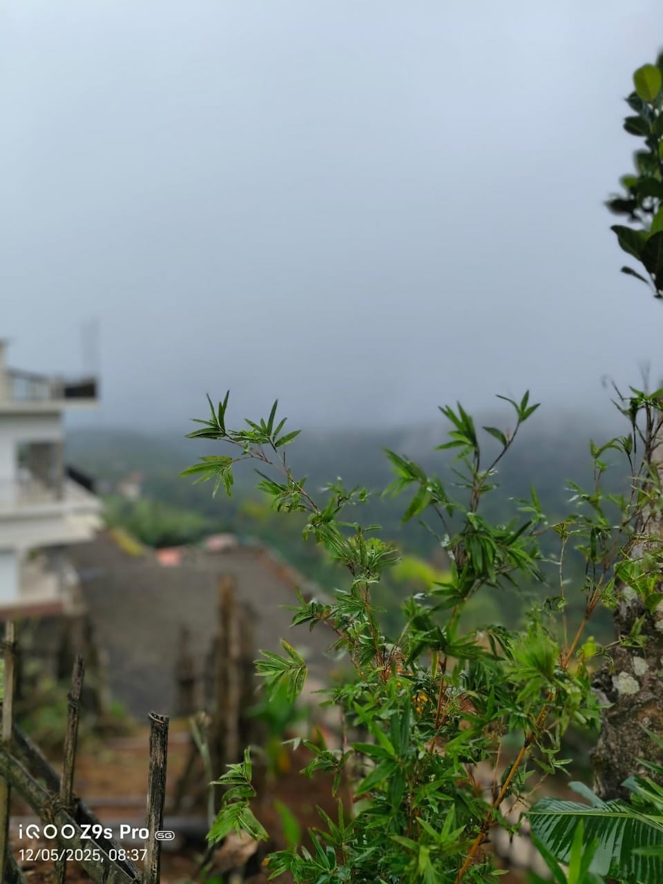 Natural landscape, Garden view, Landmark view