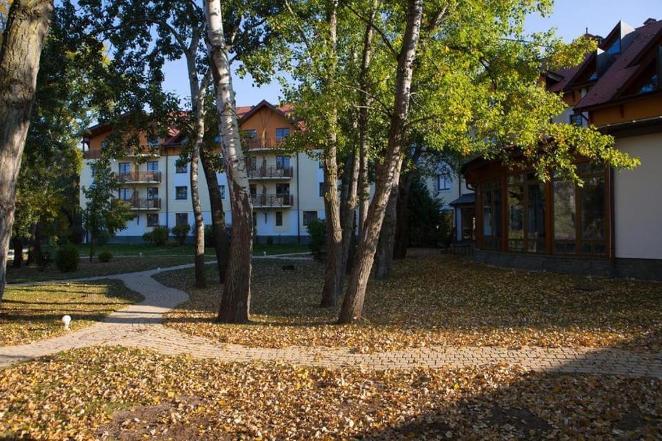 Natural landscape, Garden view