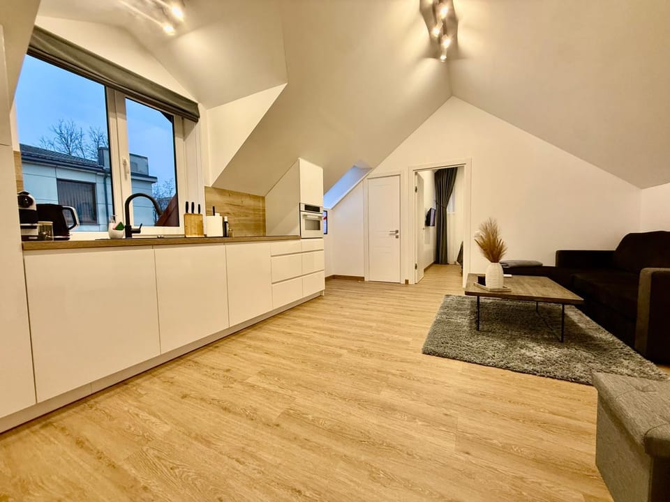 Kitchen or kitchenette, Living room, Seating area, Dining area