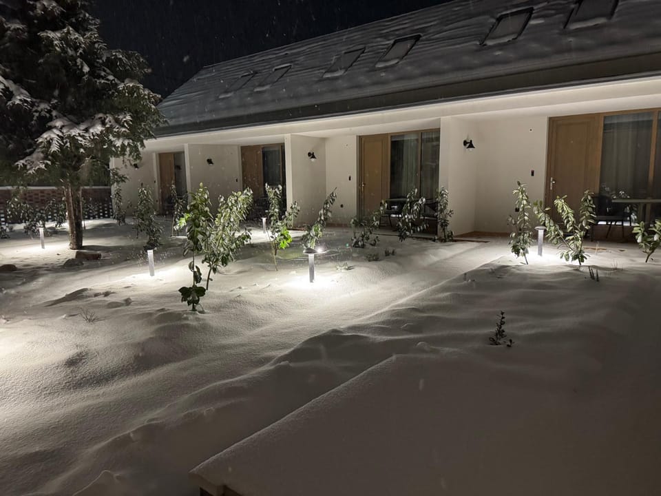Villa Bayer Bed and Breakfast in Hungary