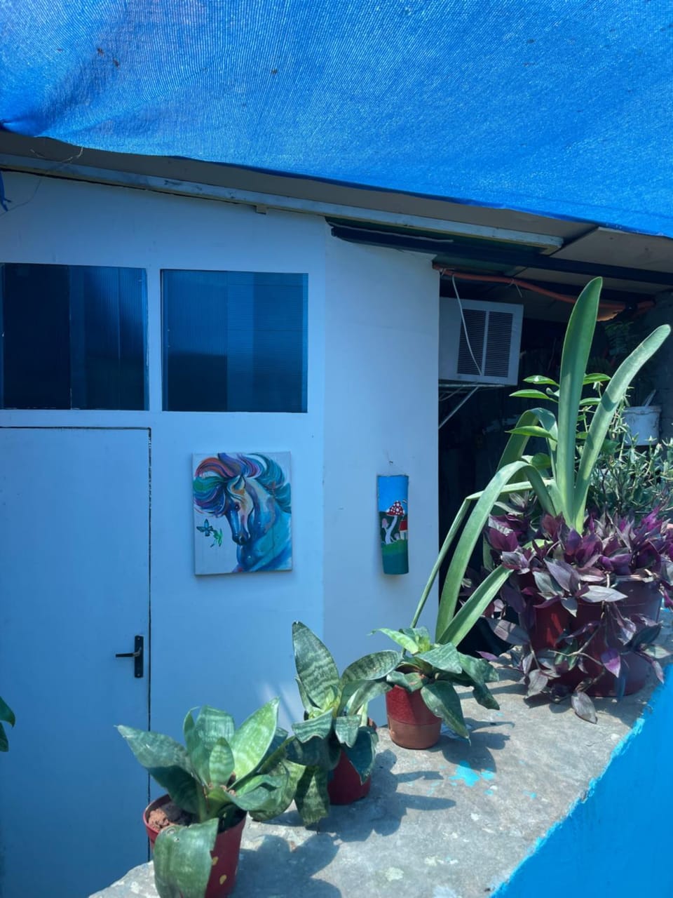 Property building, Day