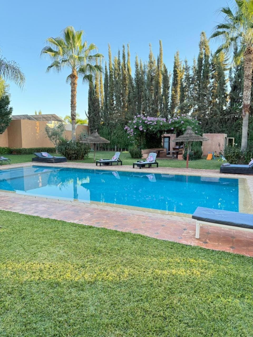 Garden, Swimming pool