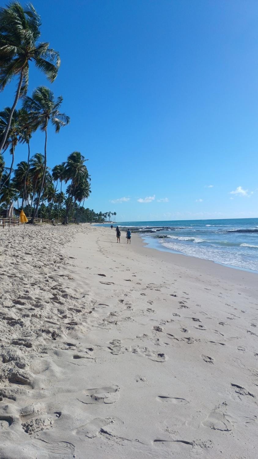 Nearby landmark, Day, People, Natural landscape, Beach, Sea view, group of guests