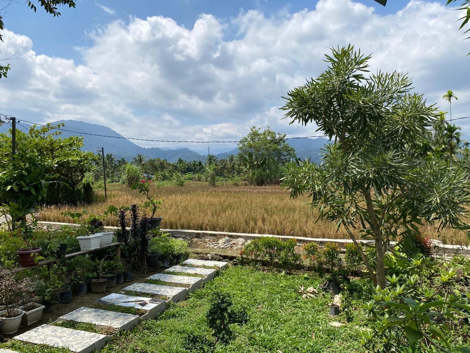 Djojo Bungalow - Jungle Trekking & Transportation - BUKIT LAWANG - NORTH SUMATERA Inn in Indonesia