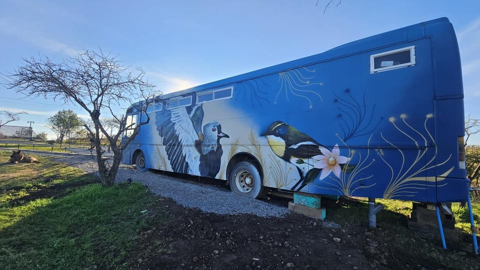 Bird Bus Chile - Descanso- Aventura - Comodidad Campground/ 
RV Resort in Bio Bio, Chile