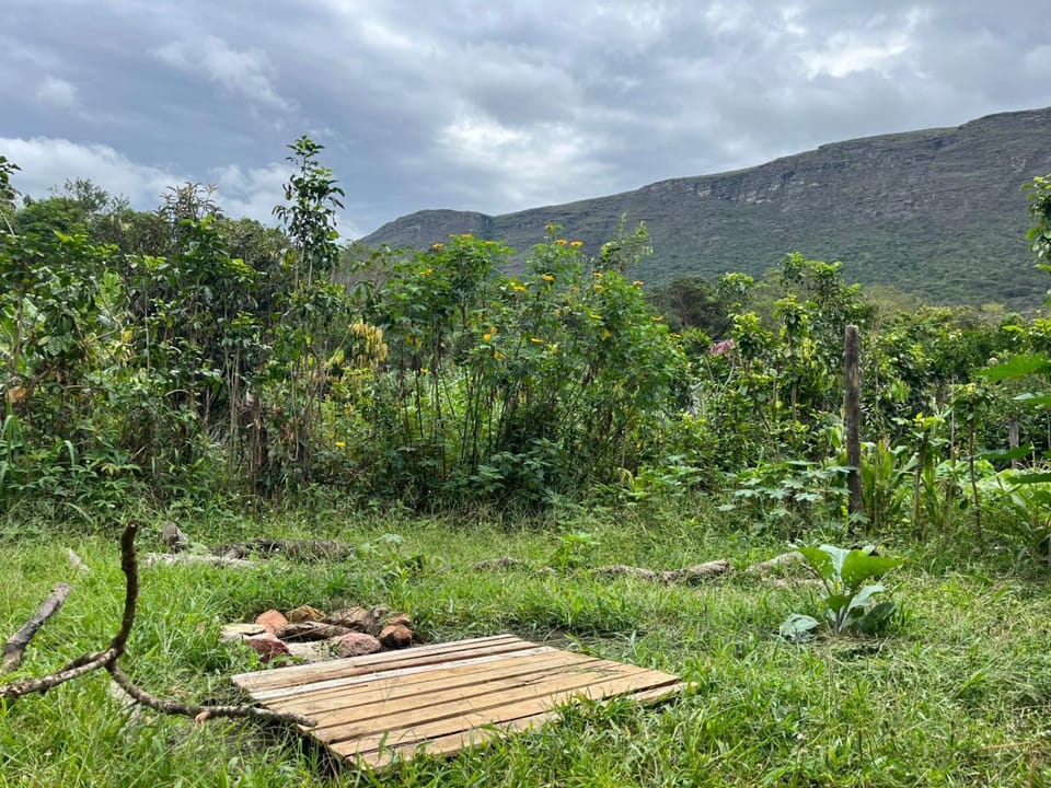 Casa Laranja House in State of Bahia