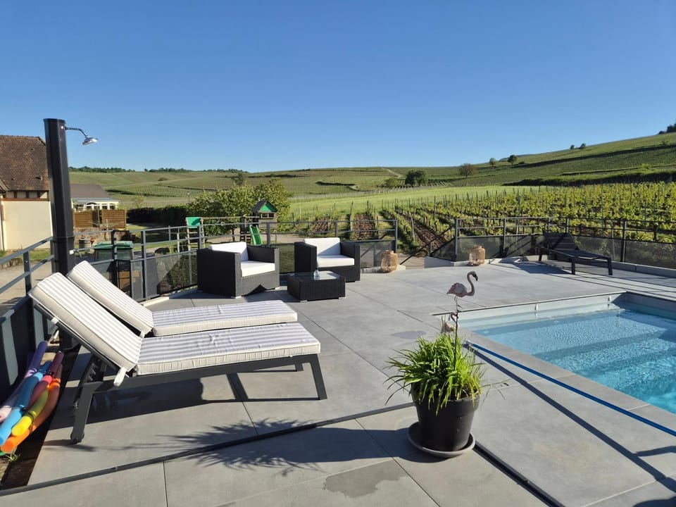 Domaine Wagenbourg Bickel proche de Colmar Apartment in Grand Est