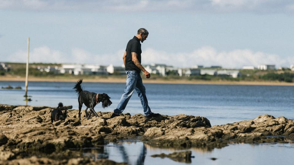 Natural landscape, Beach, Pets, Sea view, Sports
