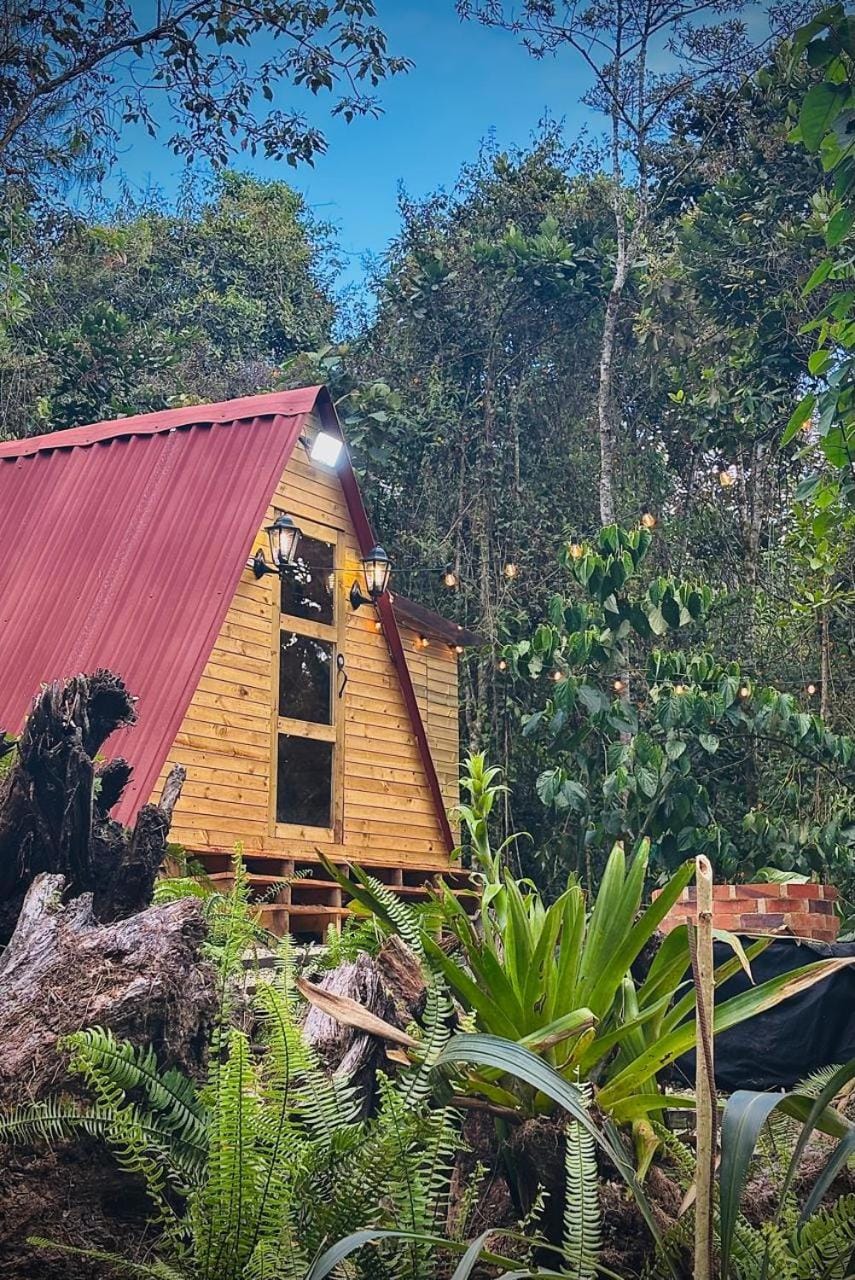 Day, Garden view