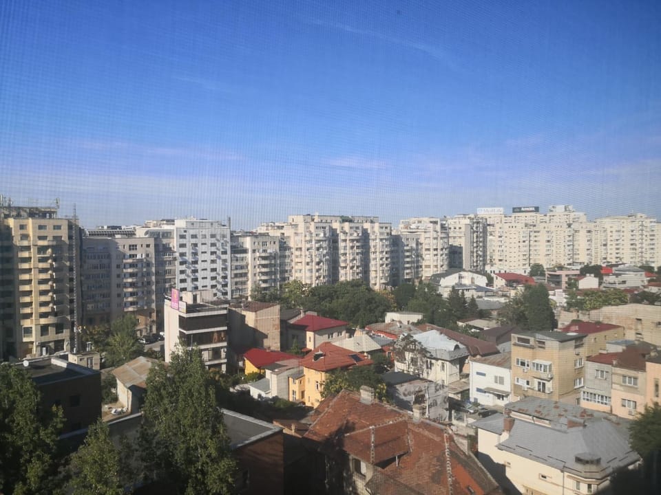 Day, Neighbourhood, City view, Street view