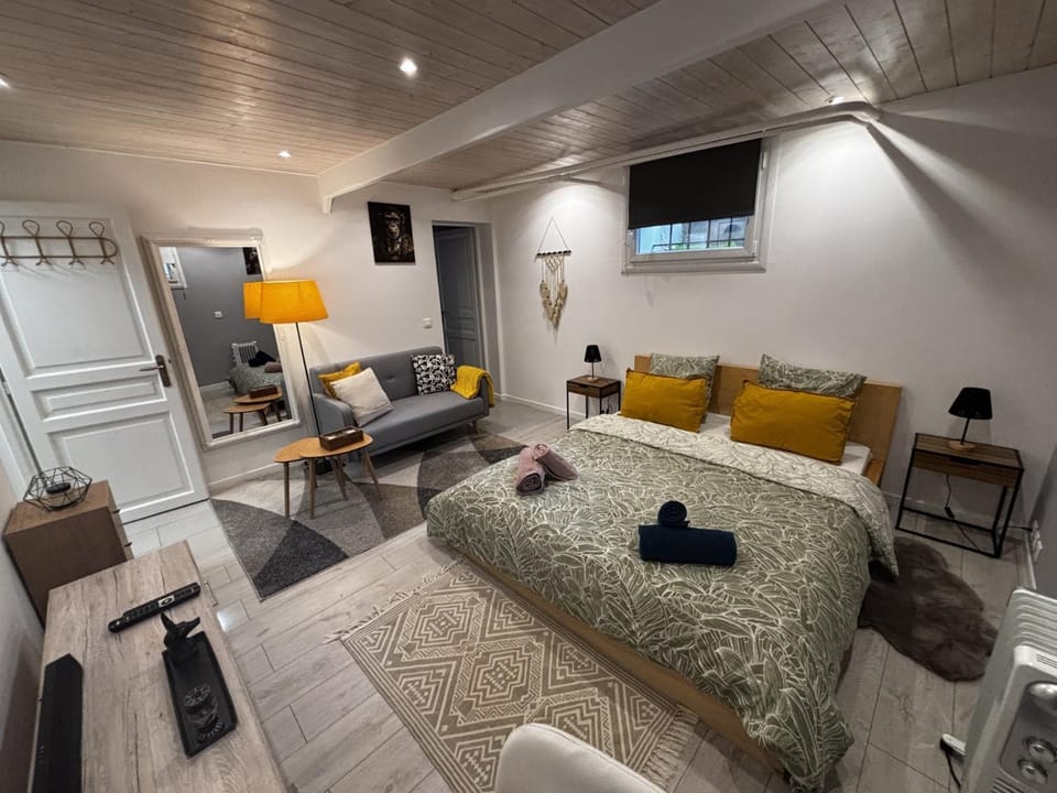 Cozy studio 2 steps from Geneva Apartment in Canton of Geneva