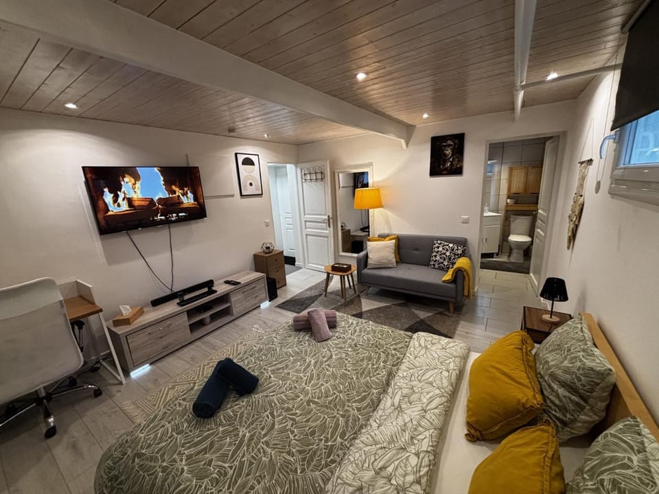 Cozy studio 2 steps from Geneva Apartment in Canton of Geneva