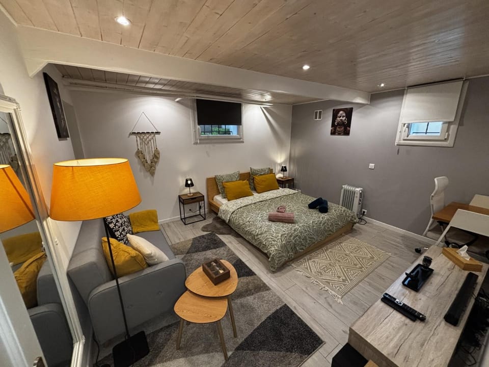 Cozy studio 2 steps from Geneva Apartment in Canton of Geneva