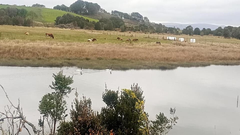 River view