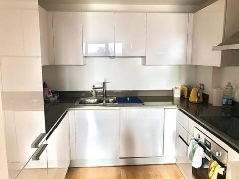 Kitchen or kitchenette, dishwasher, oven