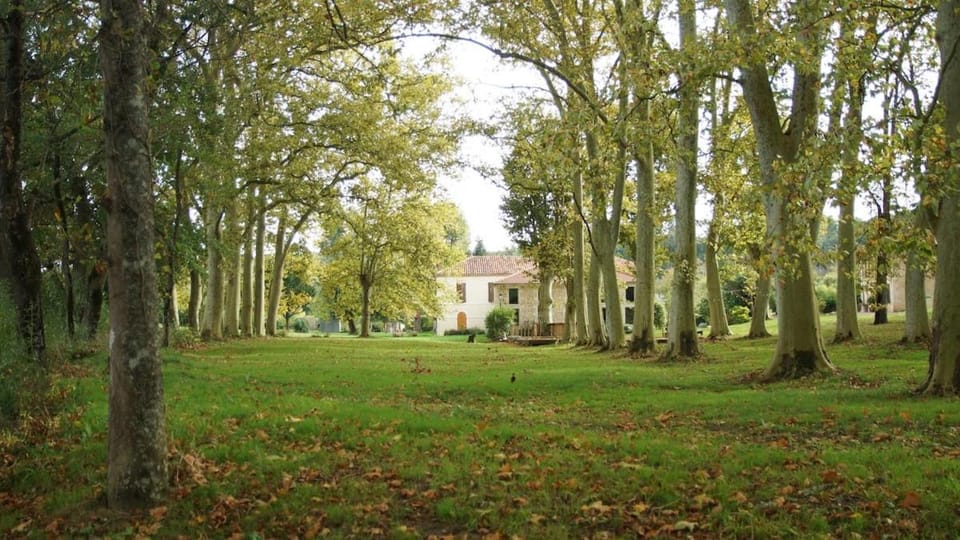 Natural landscape, Garden, Garden view