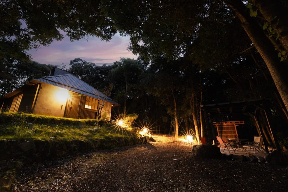 Property building, Night, Natural landscape, Garden, Garden view