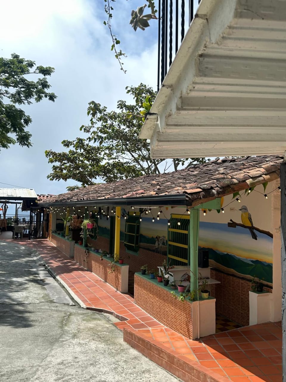 Patio, Seasons, Parking
