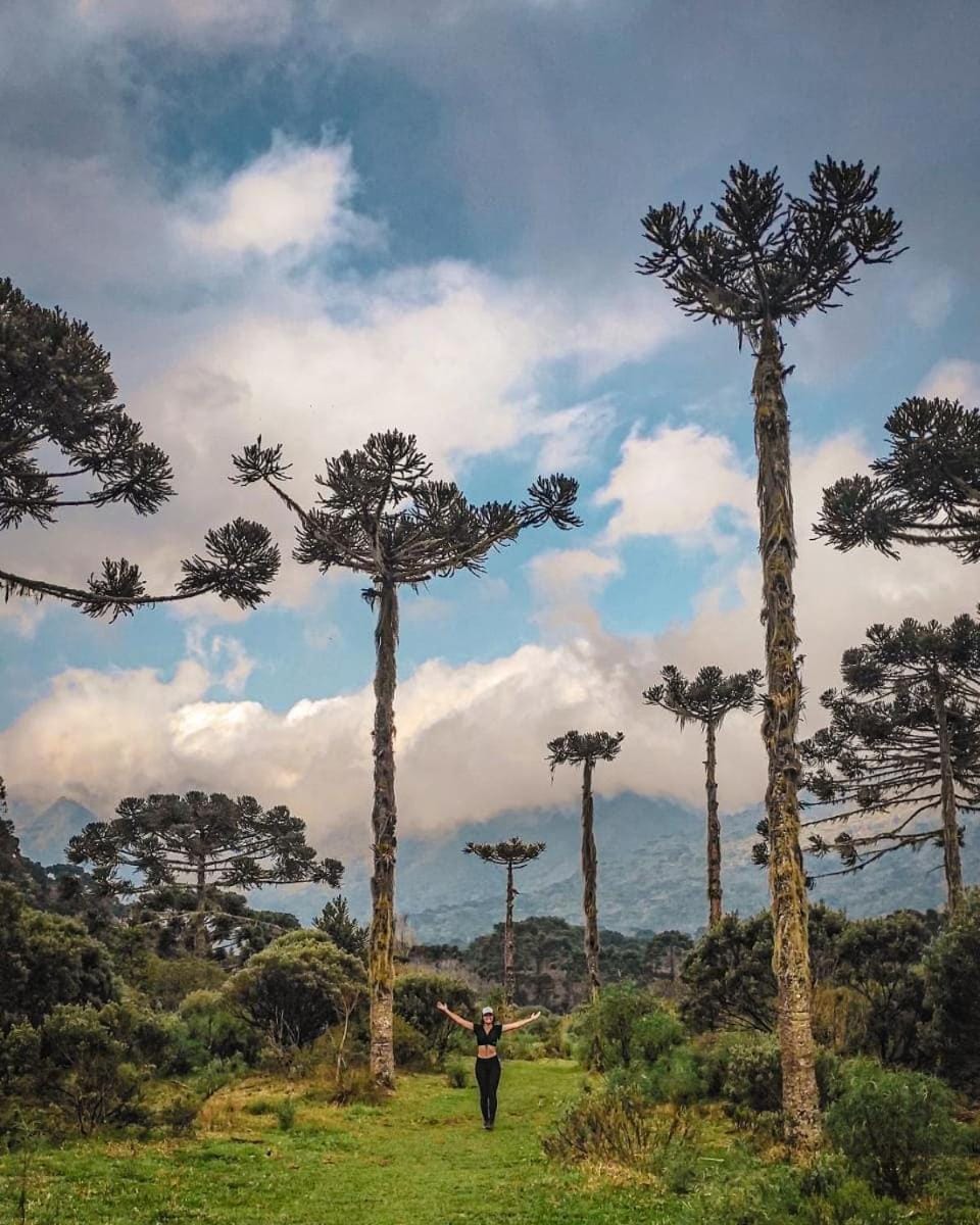 Hiking, Hiking