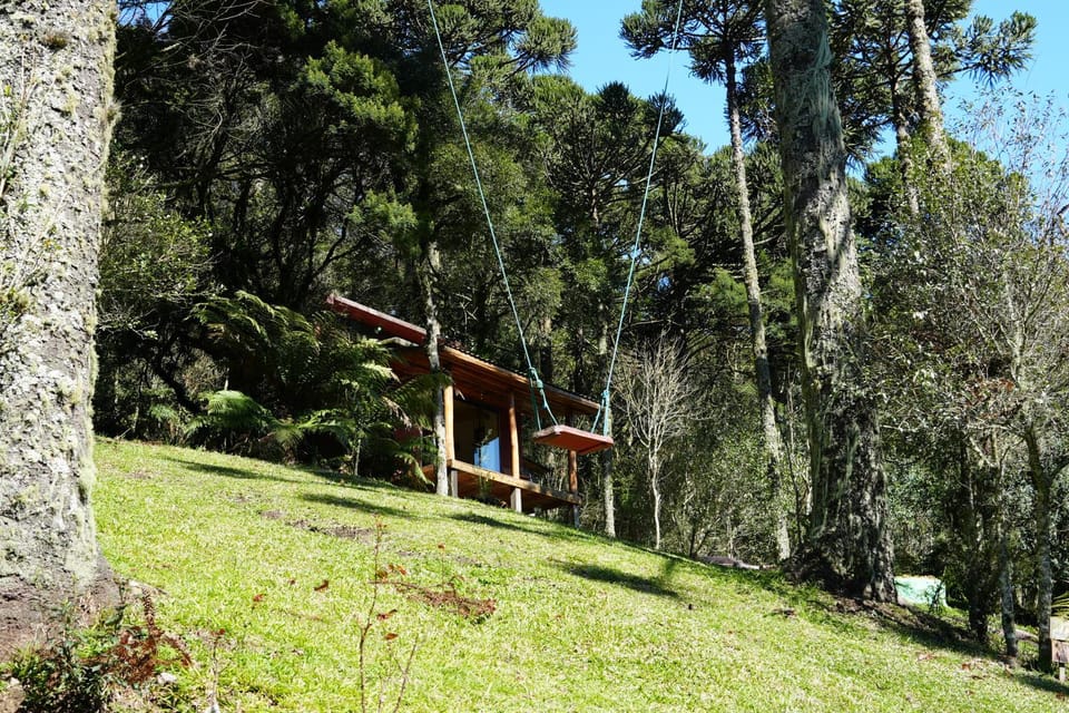 Day, Natural landscape, Garden
