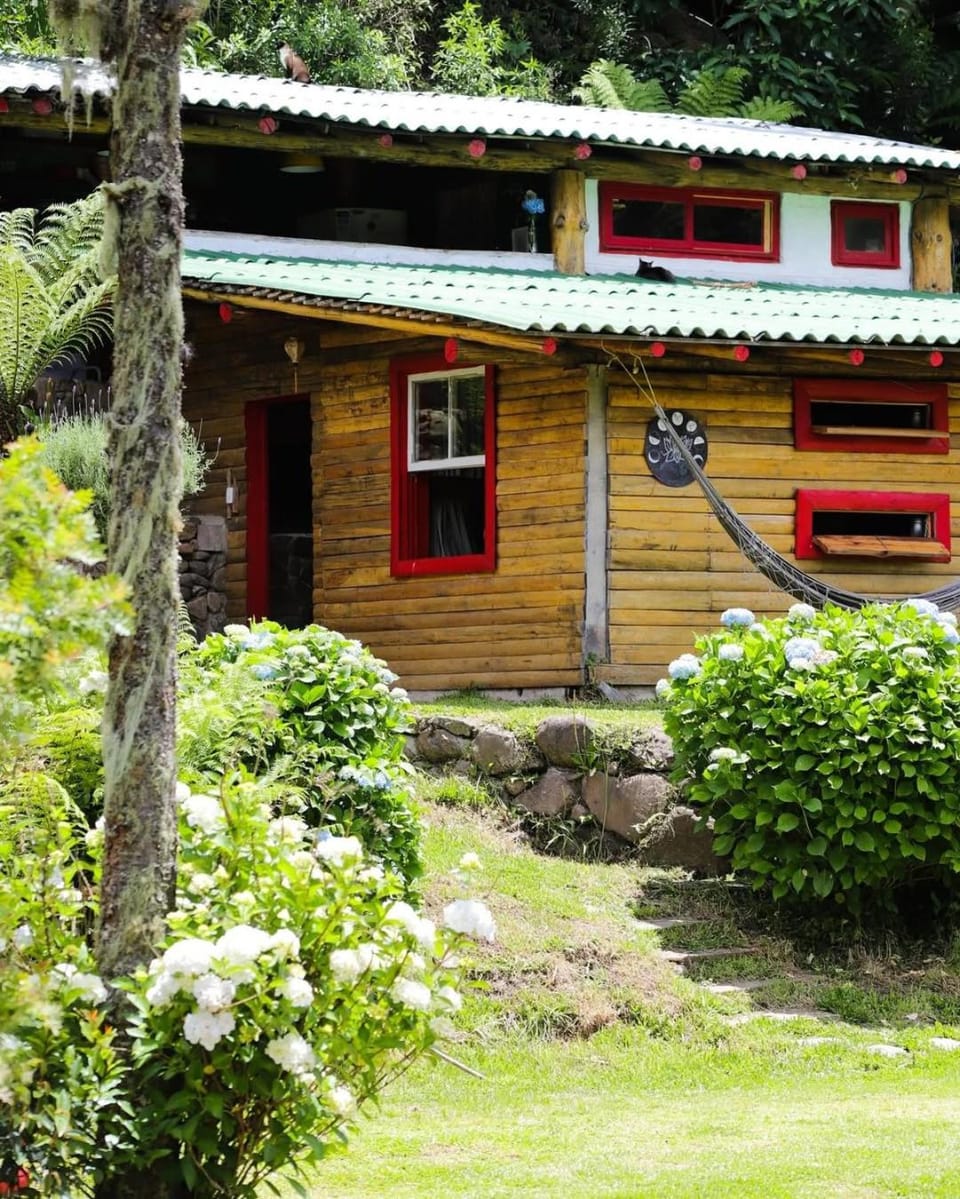 Shower, Property building, Nearby landmark, Off site, Natural landscape, Bathroom, Kitchen or kitchenette, Communal kitchen, Garden view, Mountain view, River view, internet, internet, internet, kitchen