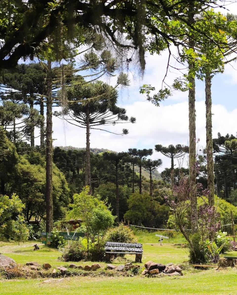 Natural landscape, Garden