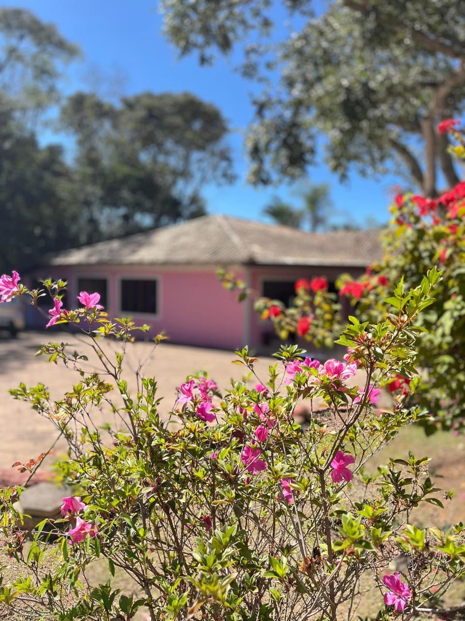 Chalés Casa Rosa Hotel in State of Goiás