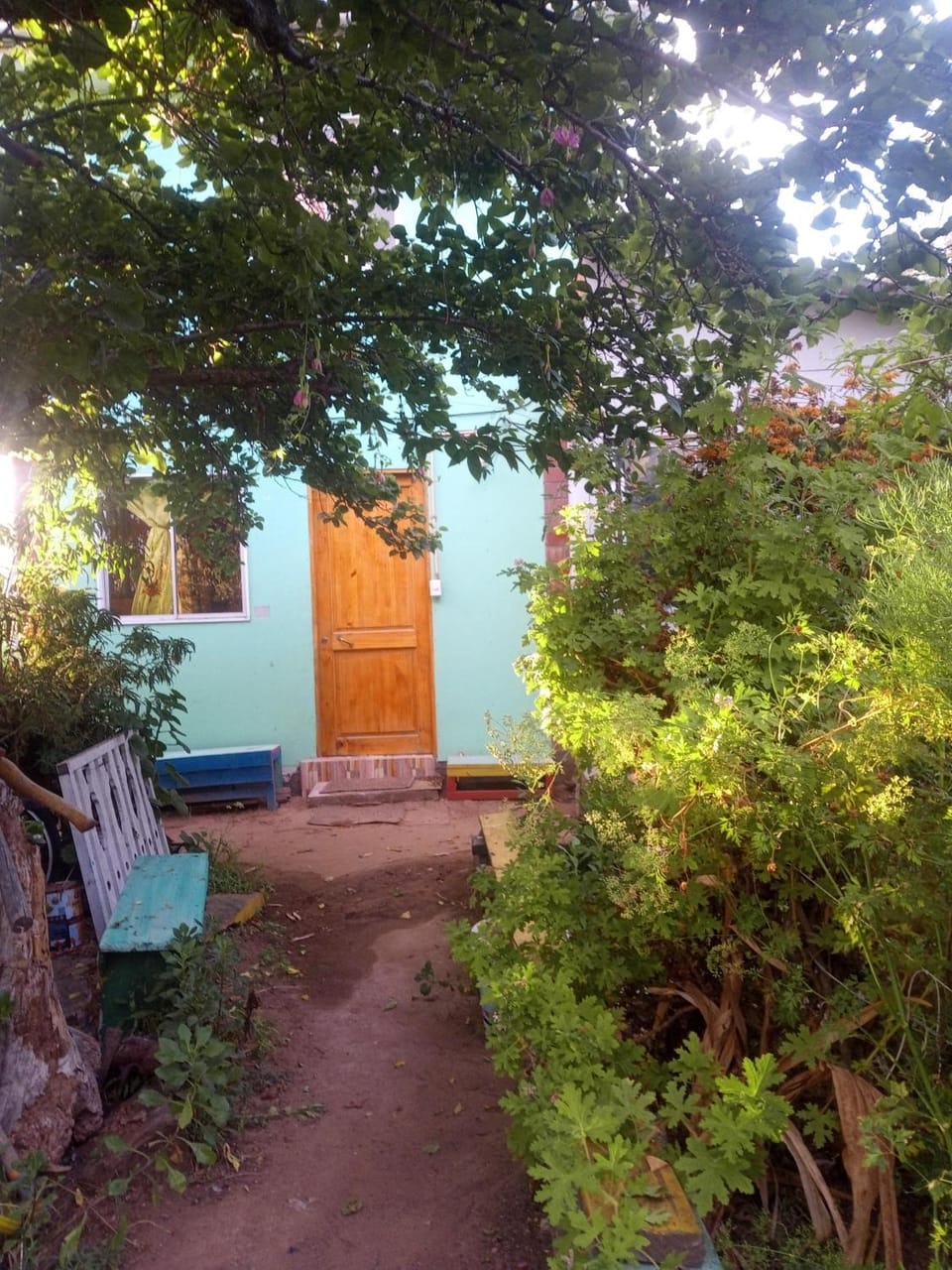 Cabaña en el centro de un huerto Apartment in La Serena