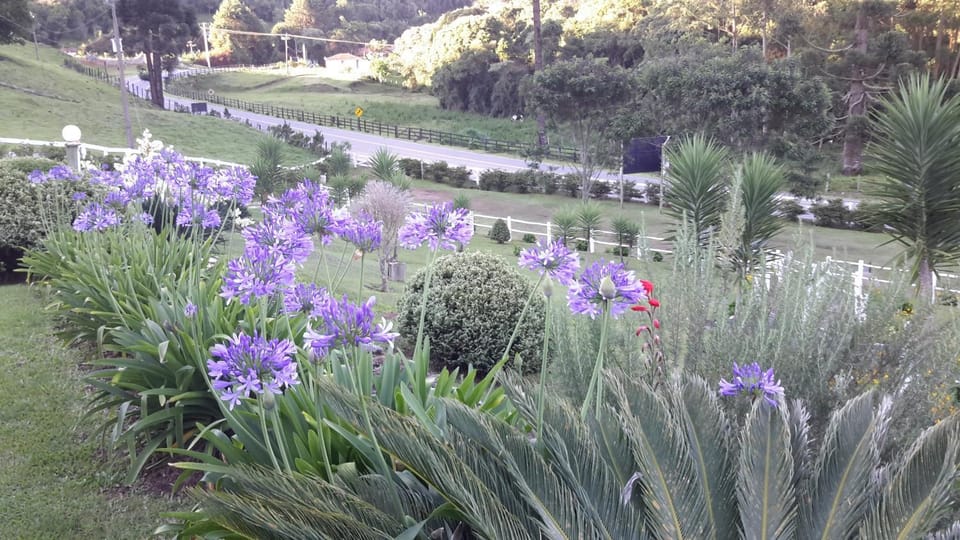 Pousada Antigo Caminho Do Ouro Inn in State of Rio de Janeiro