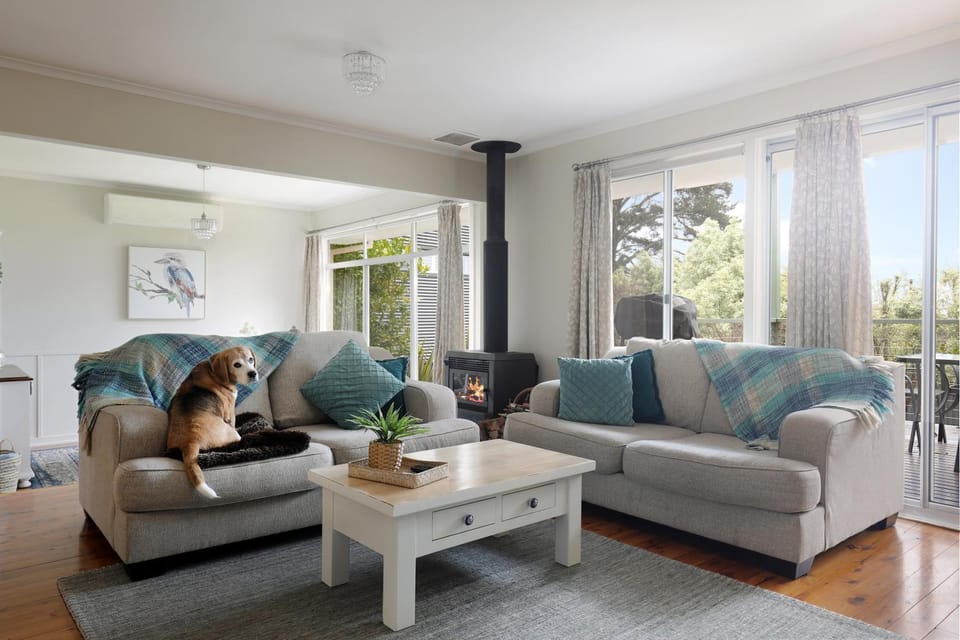 Camellia Cottage House in Wentworth Falls